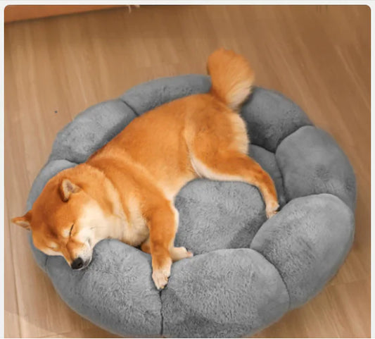 Cloud Indoor Pet Bed Pillow